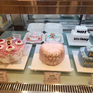 해피베어데이 리뷰 사진