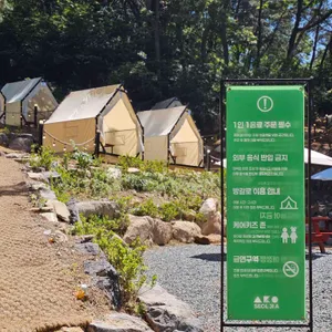 설지아 리뷰 사진