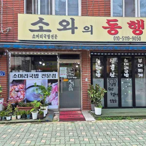 소와의동행 사진