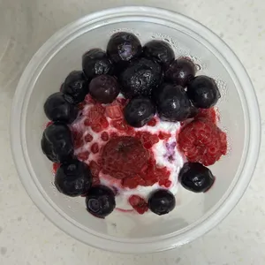 프로티너 사진