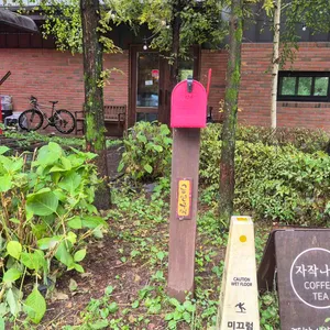 자작나무 커피 리뷰 사진