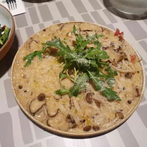 닥터로빈 사진