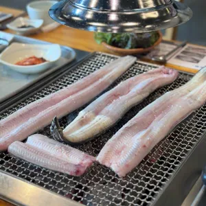 장어의꿈 사진