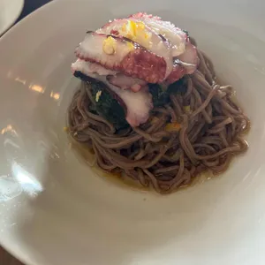 경탄성 사진