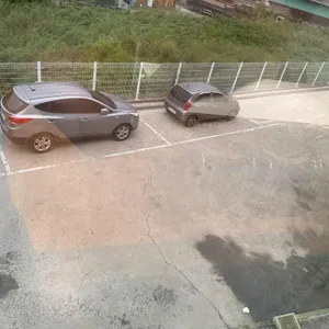 이베노가 리뷰 사진