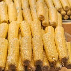 수미양가 사진 2