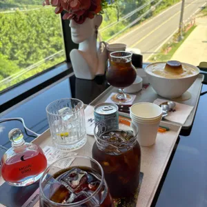 문버드 사진