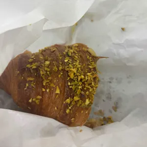 에르제 사진