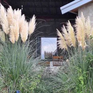 어반플랜트 리뷰 사진