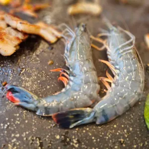 92구이 리뷰 사진