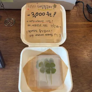 미스틱래빗 사진