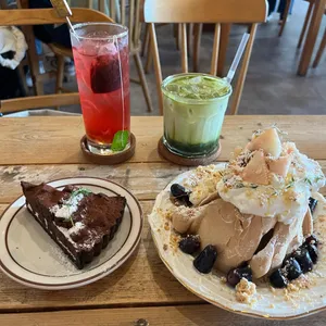 토라비 사진 2
