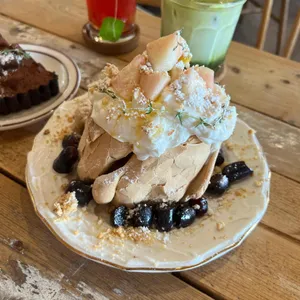 토라비 사진
