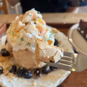 토라비 사진
