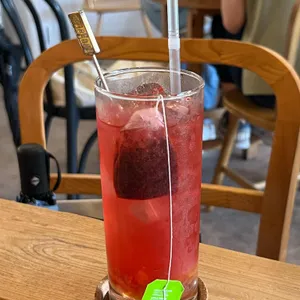 토라비 사진