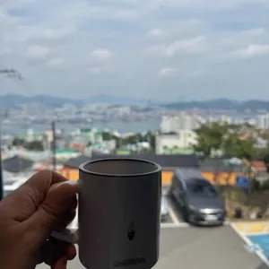 선생 조고매 대표 사진