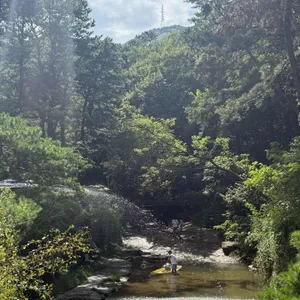 달리온 대표 사진