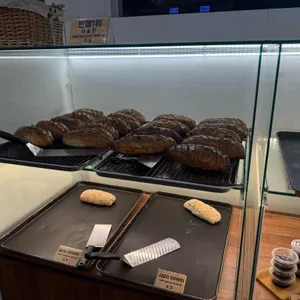 달리온 사진