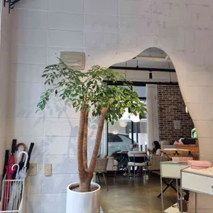 테라스156 리뷰 사진