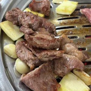 부산갈매기 대표 사진