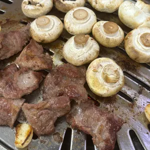 부산갈매기 사진
