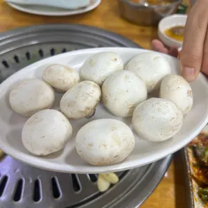 부산갈매기 사진
