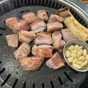 도톰 사진