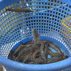 행복수산 리뷰 사진