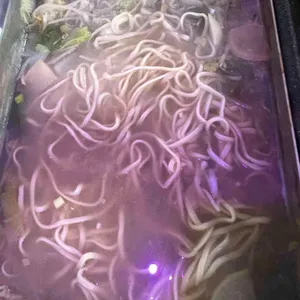 어등산장어조개전골 리뷰 사진