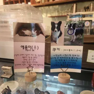 앤틱뮤지엄 리뷰 사진