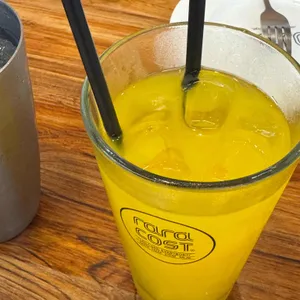라라코스트 대표 사진