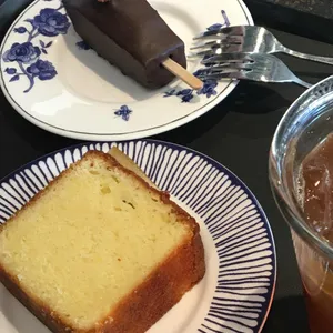 테라로사 사진