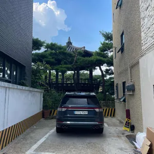 몽트 리뷰 사진