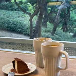 몽트 사진