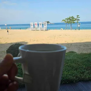 오하스 대표 사진