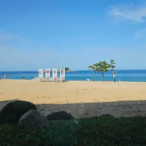 오하스 리뷰 사진