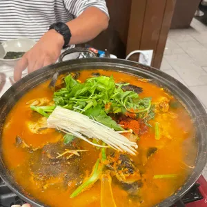 바다생협 대광어 사진