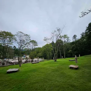 스테이수목원 리뷰 사진