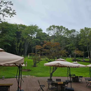 스테이수목원 리뷰 사진