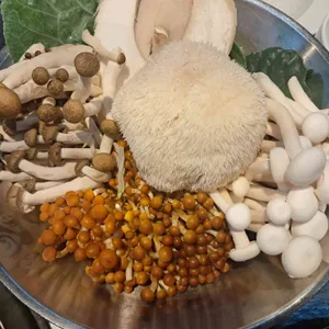 소담촌 사진