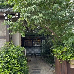 오가닉 모가 리뷰 사진