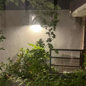 하나비 리뷰 사진