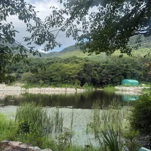 무라카데 칼국수 리뷰 사진
