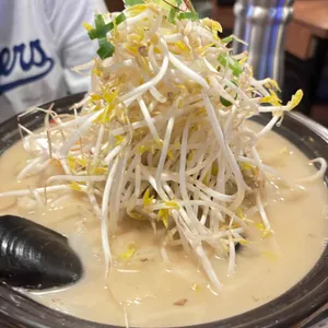 벚꽃 사진