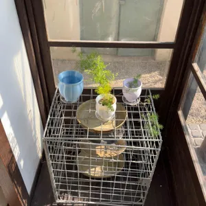 연화 리뷰 사진