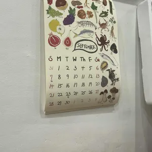 순샐러드 리뷰 사진