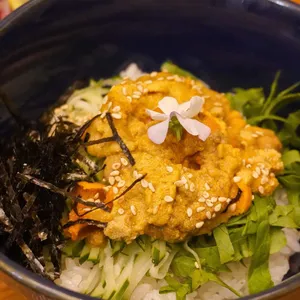 본참치 사진