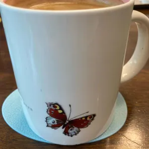 콩부인더오븐 사진 1