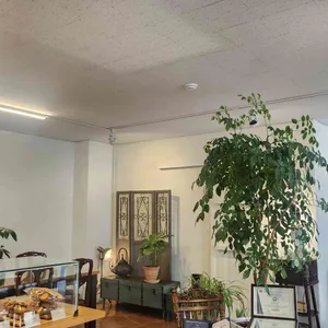 카페연교 리뷰 사진