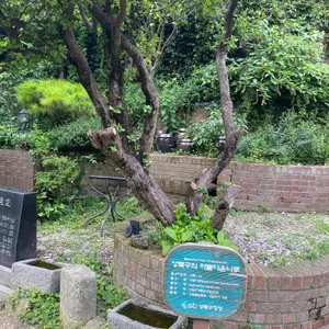 수연산방 리뷰 사진